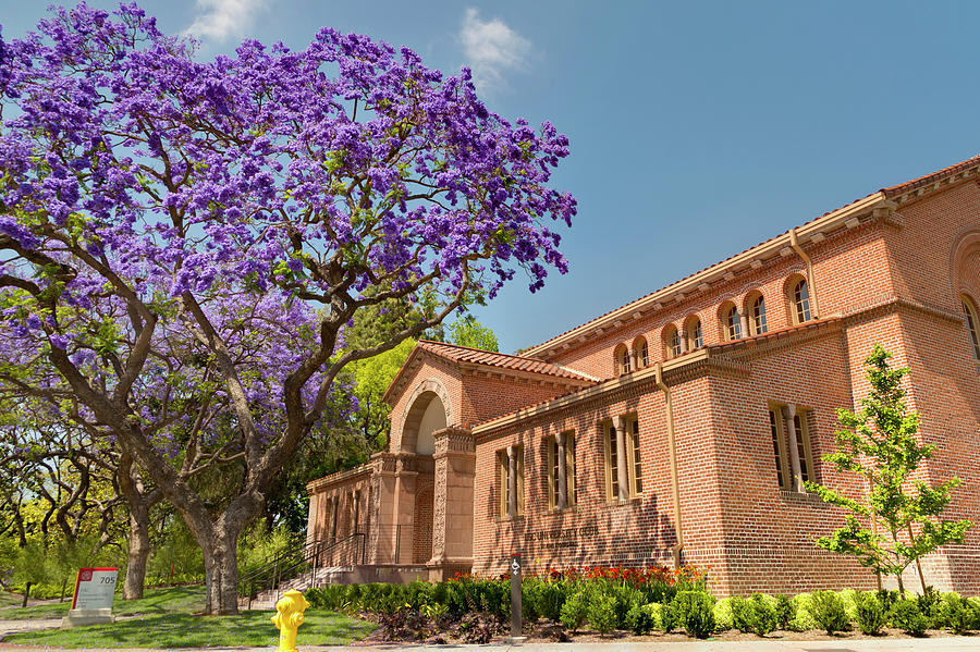 University Club